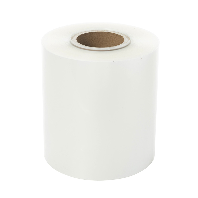 Clear Glossy Transparent PP Roll Sheet